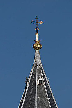 cau bach thu ngay mai