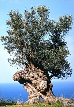 chơi số đề