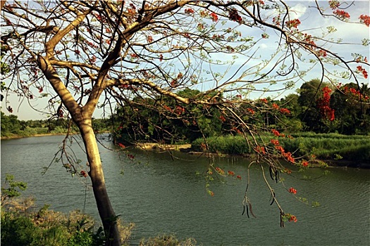 lo kep khung 3 ngay 247