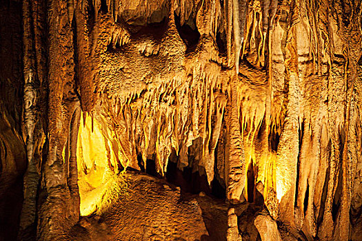 xổ số điện toán