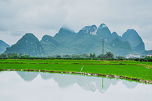 soi cầu miền bắc miễn phí