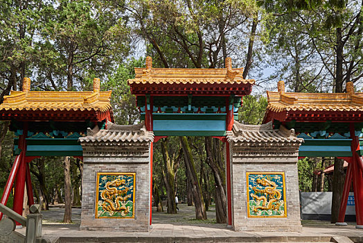 du doan xs binh dinh wap