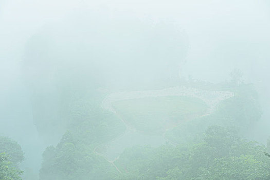 cầu bạch thủ