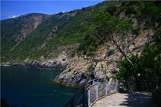 bach thu lo kep khung 5 ngay