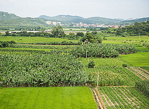 soi cầu miền