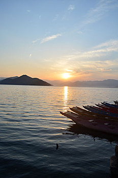 thong ke rong bach kim