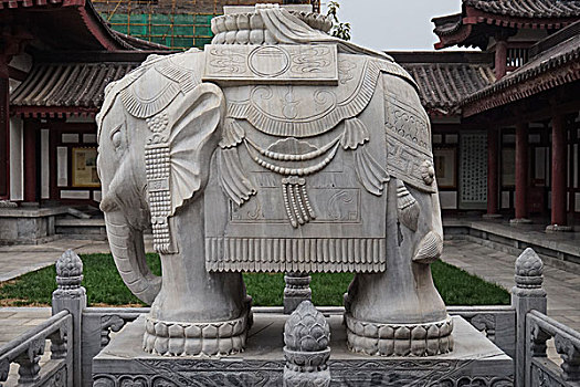 soi cau bach thu