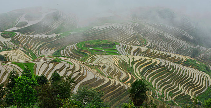 kết quả xổ số tây ninh