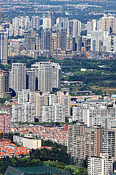 soi cau rong bach kim 247