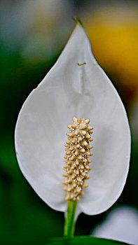 thống kê kết quả xổ số miền bắc 2019