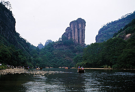 bach thu lo kep mien bac