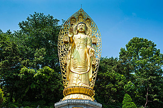 soi cau lo de mien bac hom nay mien phi