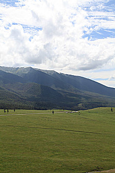 dàn đề
