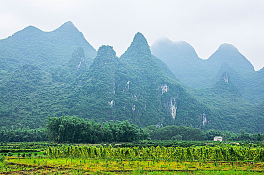 soicau lode chuan