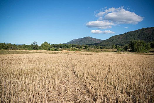 lo kep khung 3 ngay