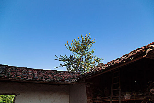 xsmn cn du doan