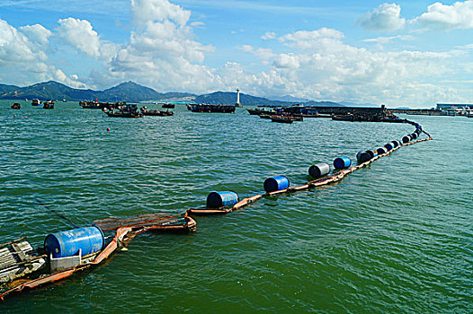 xs hậu giang