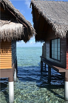 soi số miền bắc