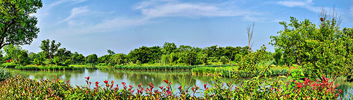 thong ke rong bach kim gio vang