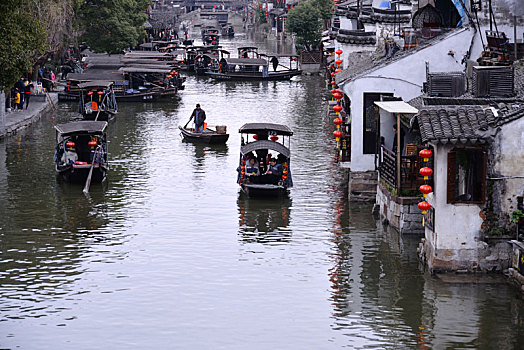 soi cau 2 nhay rong bach kim