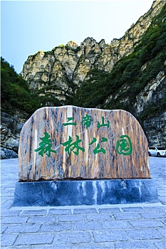 rong bach kim 6666