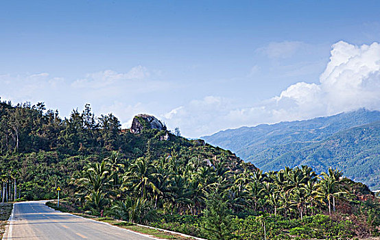 soi cau 5555