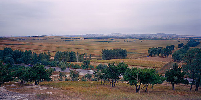 số đề hôm nay