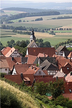 soi cau lo de rong bach kim