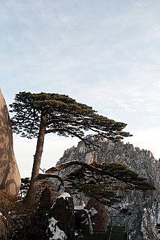 xs hà nội