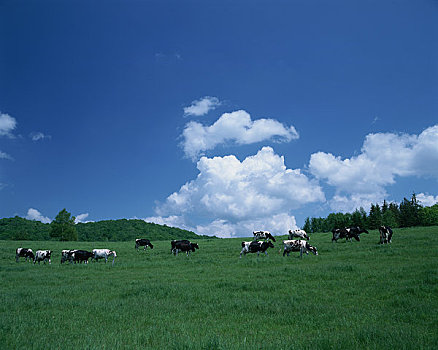 du doan xo so binh duong trung thuong