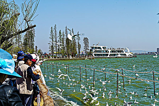 dàn lô đẹp hôm nay