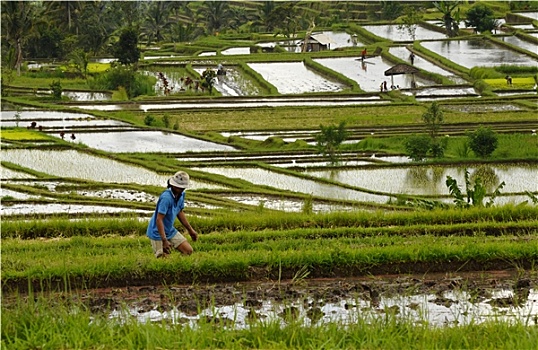 xổ số tiền giang tuần rồi