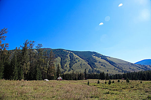 cau bachthu mienbac