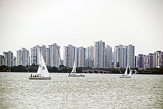 soi cau 247 bach thu 3 ngay