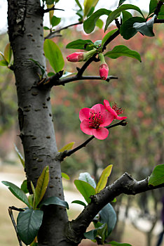 xo so thu 6 hang tuan