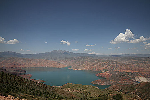 soi cau lo de bach thu