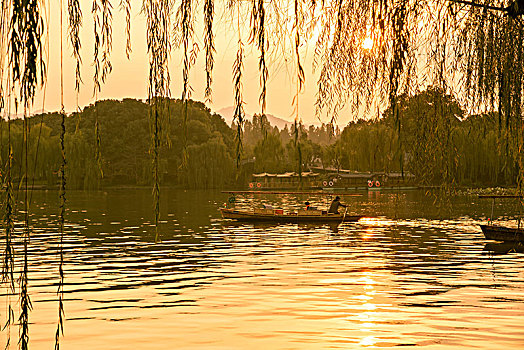 soi cau nam