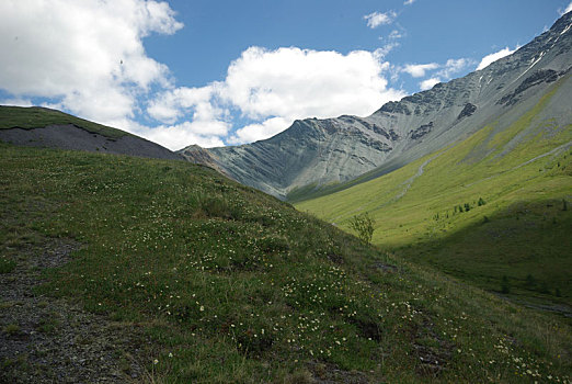 soicau mbhomnay