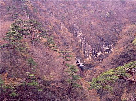 soi cau lo bach thu khung 3 ngay