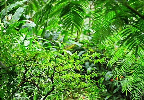 dự đoán bạch thủ lô miền bắc hôm nay
