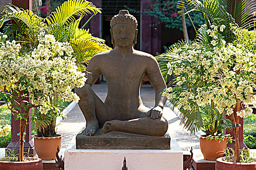 rong vang bach kim