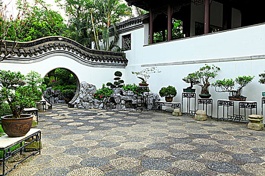 soi cau binh dinh
