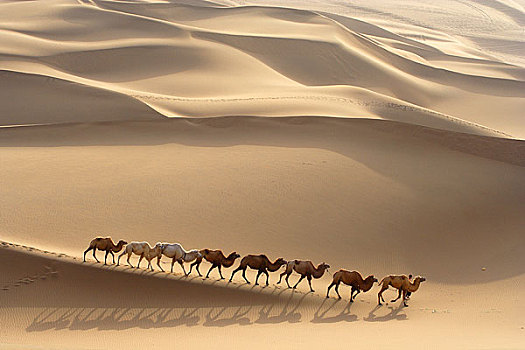 danh so de online