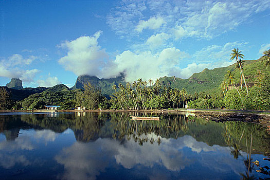 soi cau hay