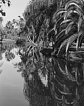 dàn đề ngày hôm nay
