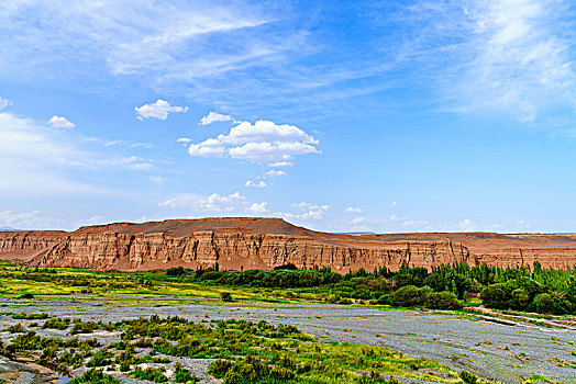 dự đoán số đề