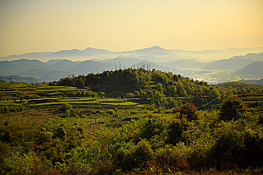 đăng ký tài khoản bong88