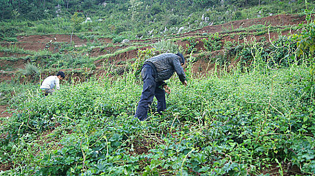 cách tính lô đề chuẩn
