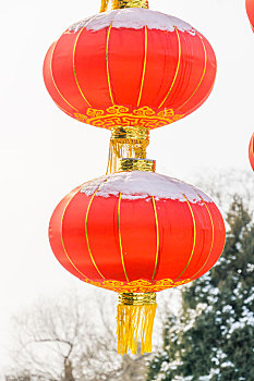 bạch thủ đề ngày mai