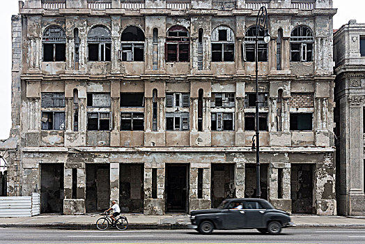 soi câu bạch kim